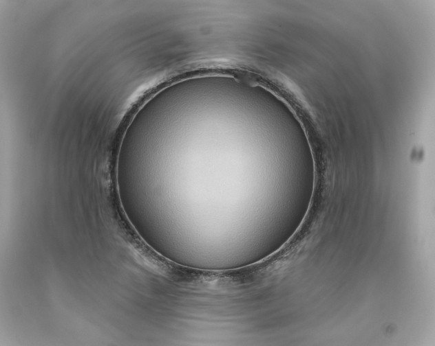 X0000091581218200709101011