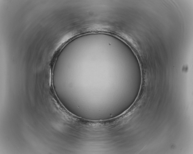 X0000091581219200709101011