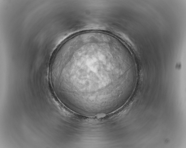 X0000091581220200709101011