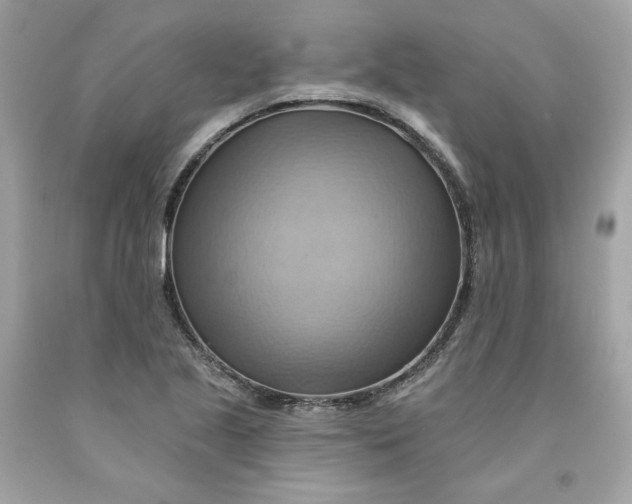 X0000091581221200709101011