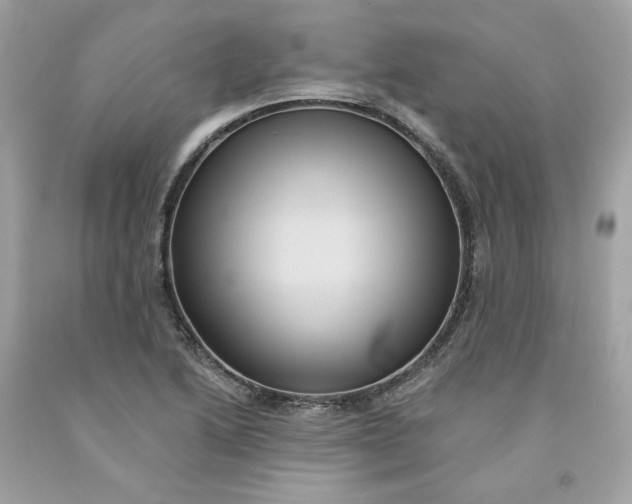 X0000091581222200709101011