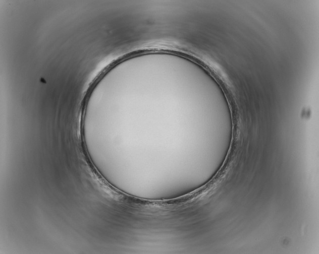 X0000091581224200709101011