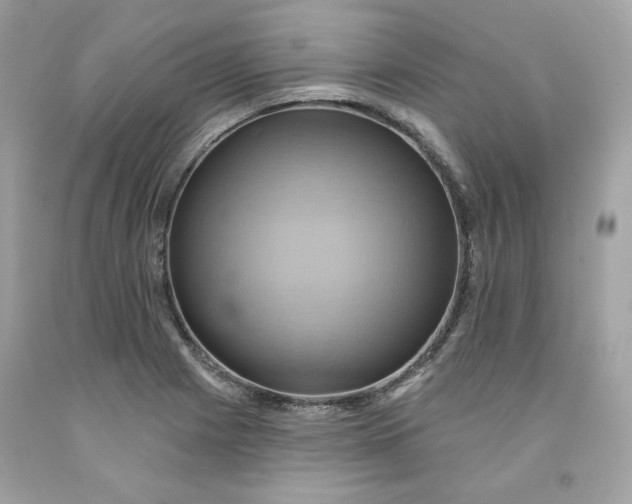 X0000091581225200709101011