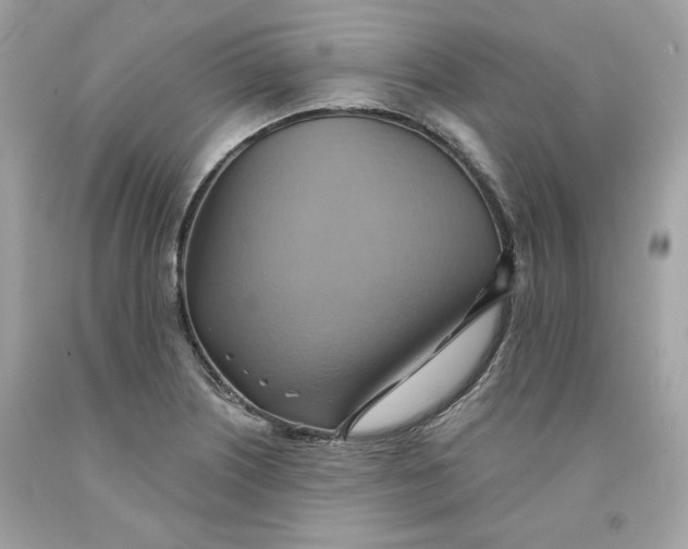 X0000091581226200709101011