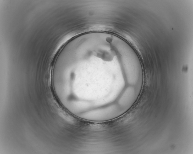 X0000091581227200709101011