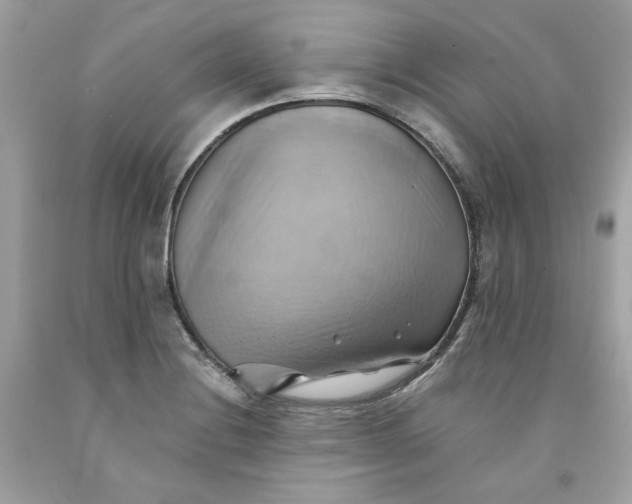 X0000091581228200709101011