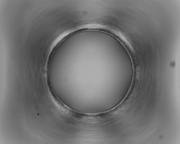 X0000091581229200709101011