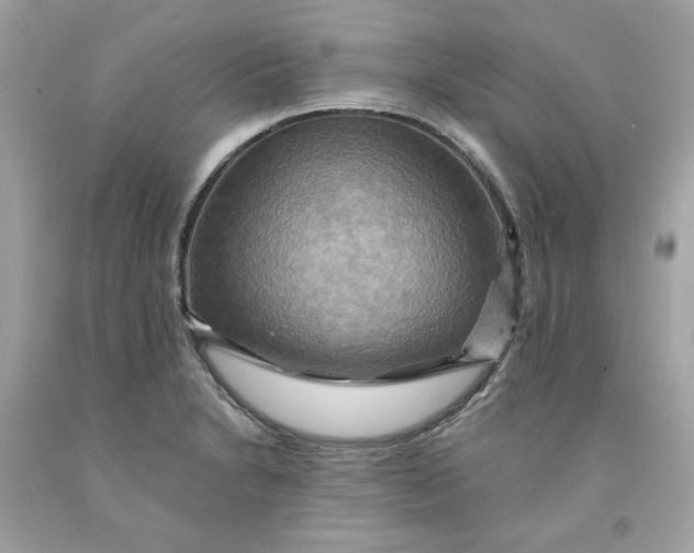 X0000091581230200709101011