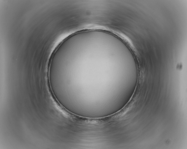 X0000091581231200709101011