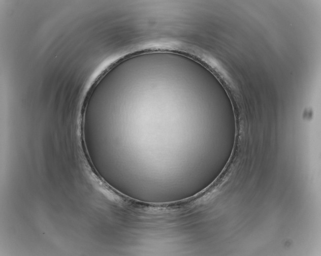 X0000091581232200709101011