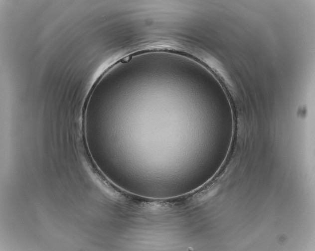 X0000091581234200709101011