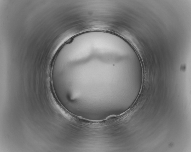 X0000091581235200709101011