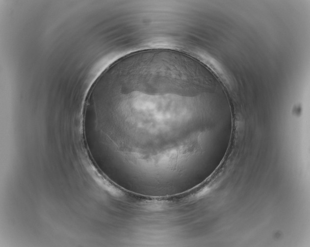 X0000091581236200709101011