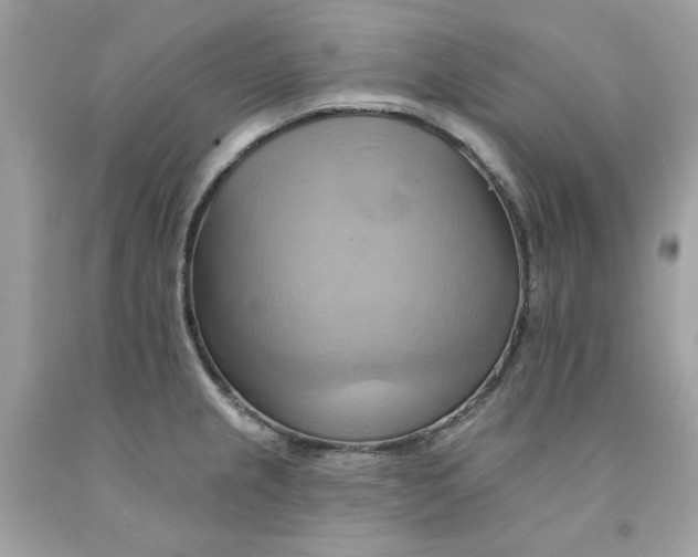 X0000091581237200709101011