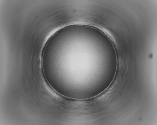 X0000091581238200709101011