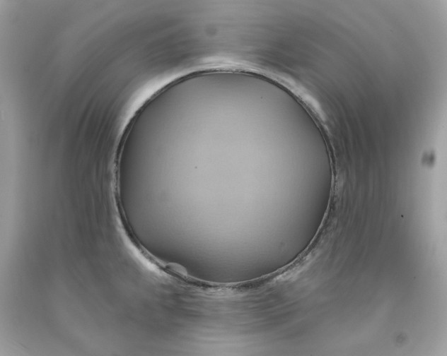 X0000091581239200709101011