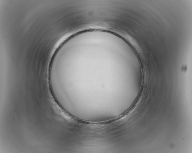 X0000091581240200709101011