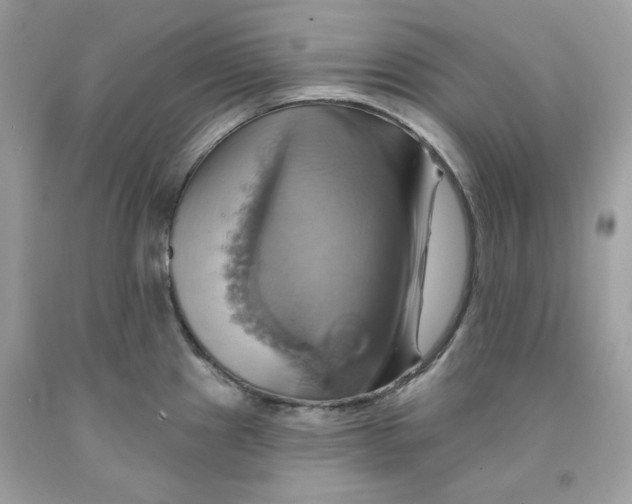 X0000091581241200709101011