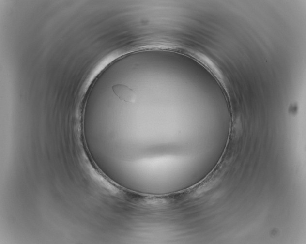 X0000091581243200709101011