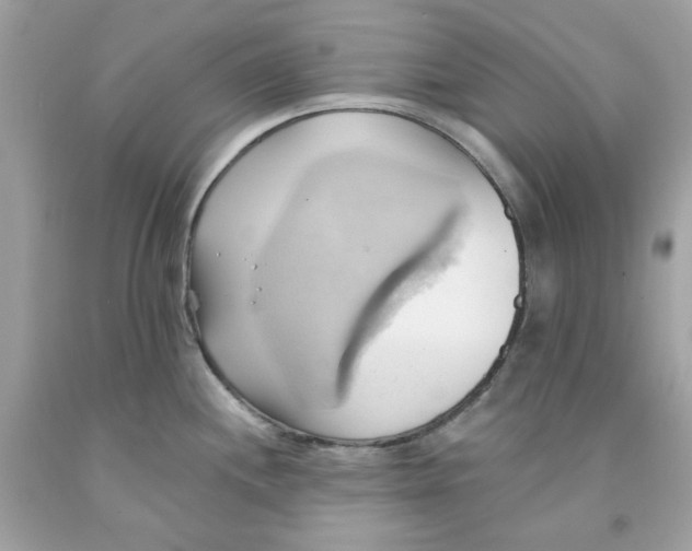 X0000091581244200709101011