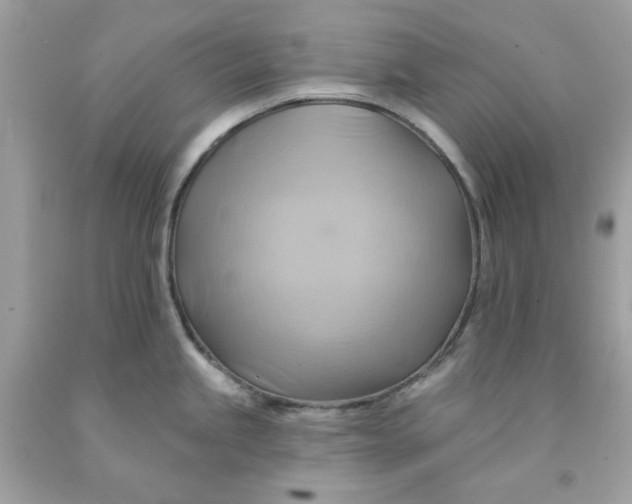 X0000091581245200709101011