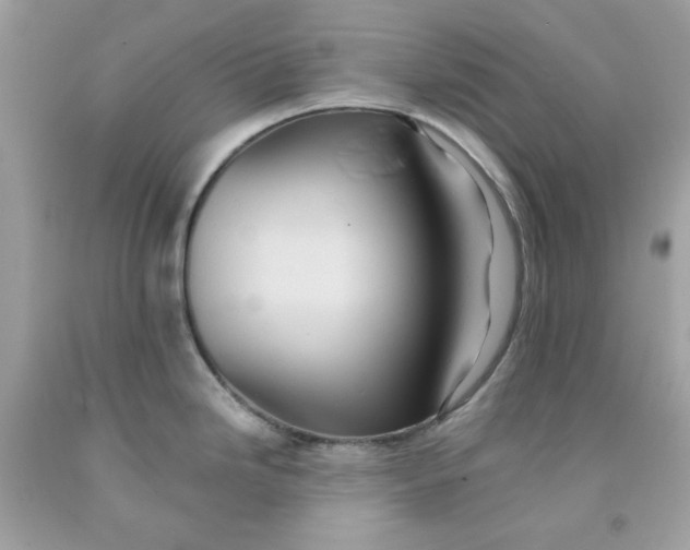 X0000091581246200709101011