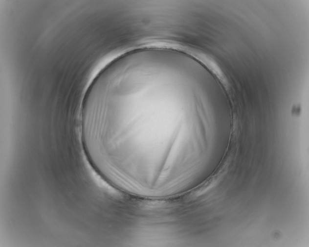 X0000091581247200709101011