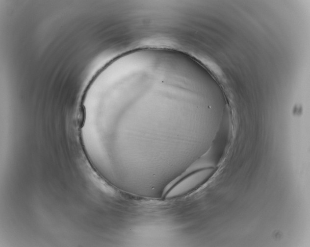 X0000091581248200709101011