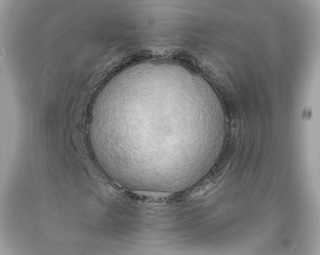 X0000091581249200709101011