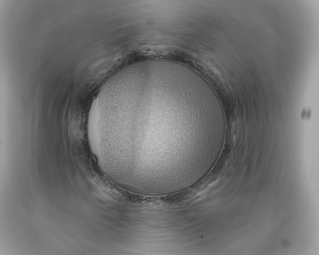 X0000091581250200709101011