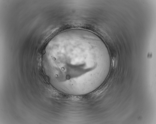 X0000091581251200709101011