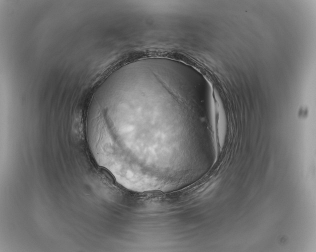 X0000091581252200709101011