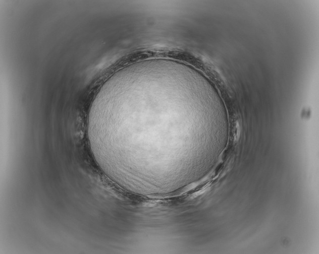 X0000091581253200709101011