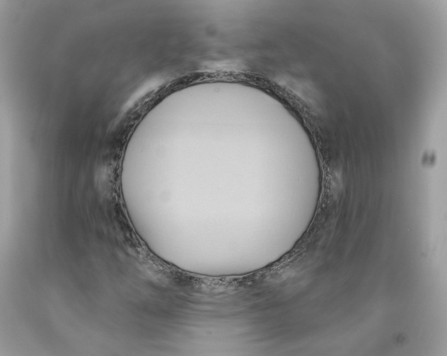 X0000091581254200709101011