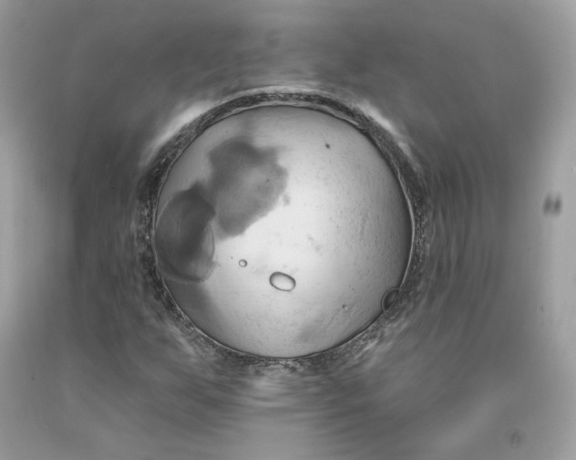 X0000091581255200709101011