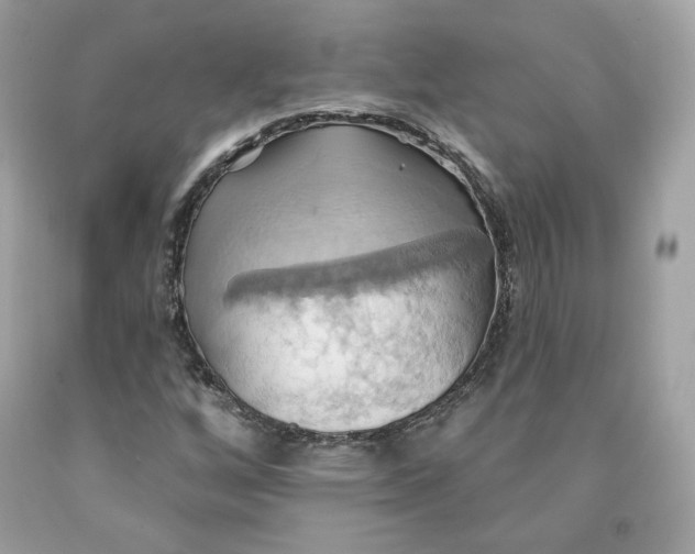 X0000091581256200709101011