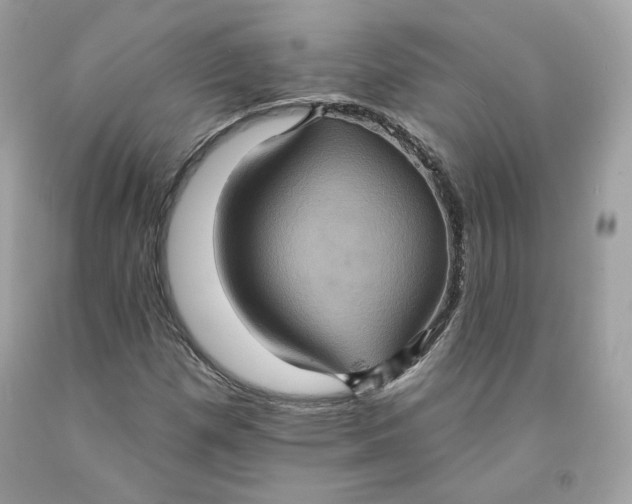 X0000091581257200709101011