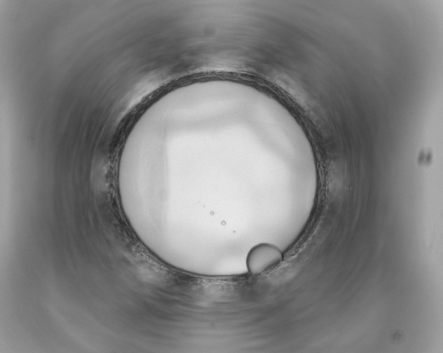 X0000091581258200709101011