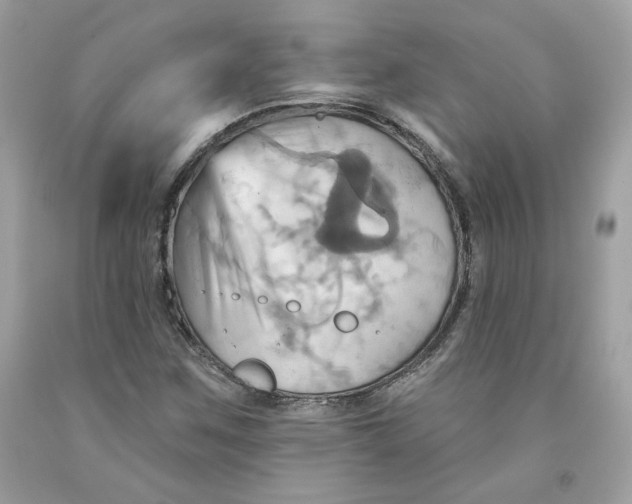 X0000091581259200709101011