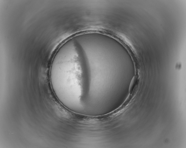 X0000091581260200709101011