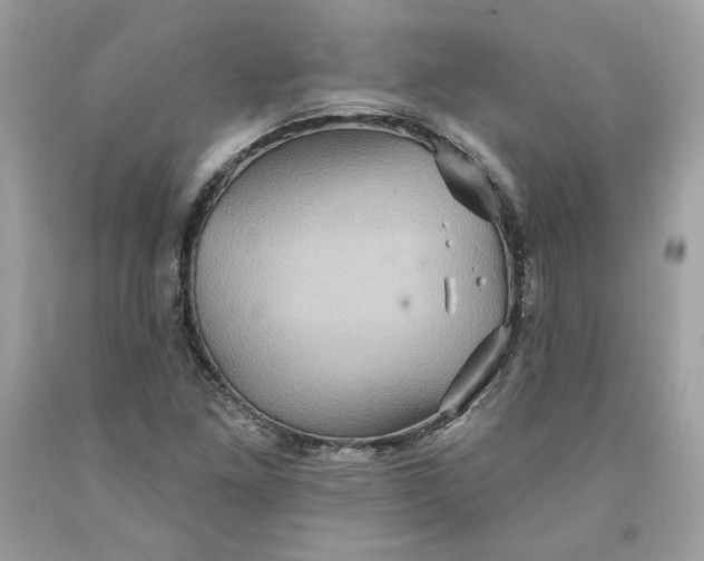 X0000091581261200709101011