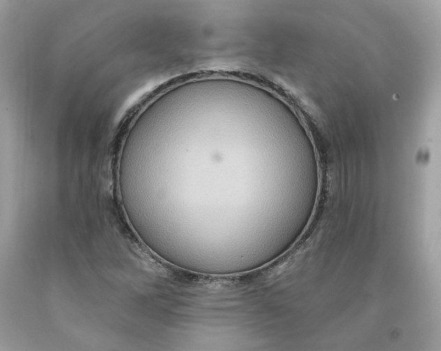 X0000091581262200709101011