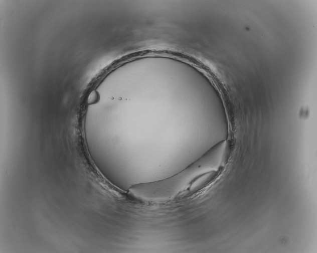 X0000091581263200709101011