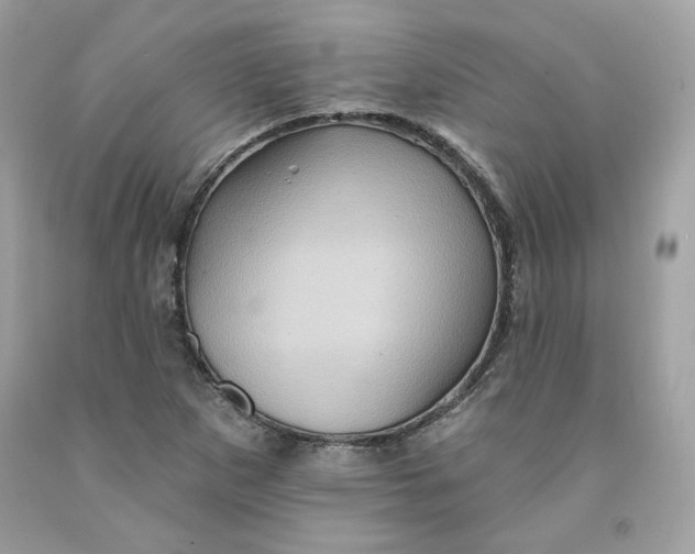 X0000091581265200709101010