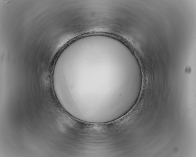 X0000091581266200709101010