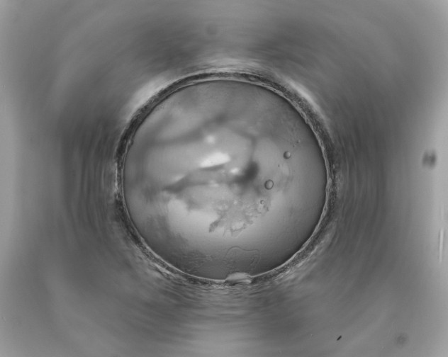 X0000091581267200709101010