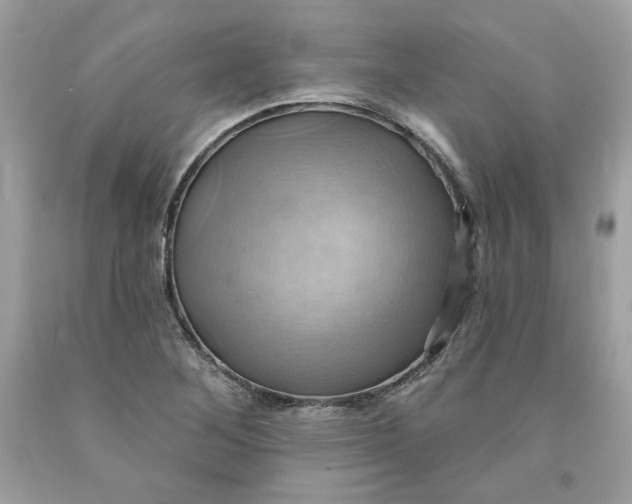 X0000091581268200709101010