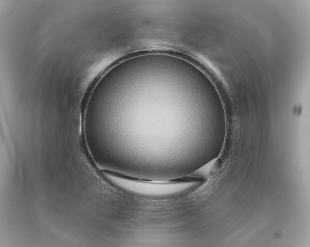 X0000091581269200709101010