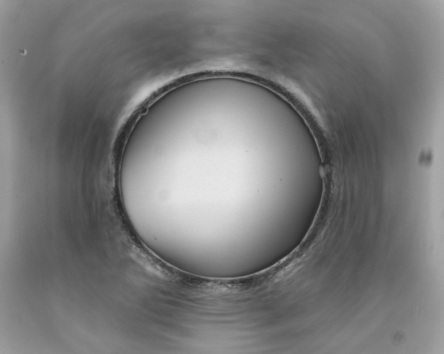 X0000091581270200709101010