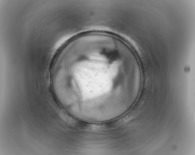 X0000091581271200709101010